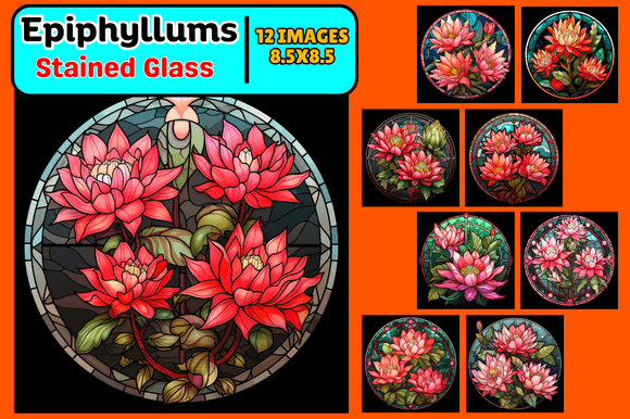 Epiphyllums Stained Glass