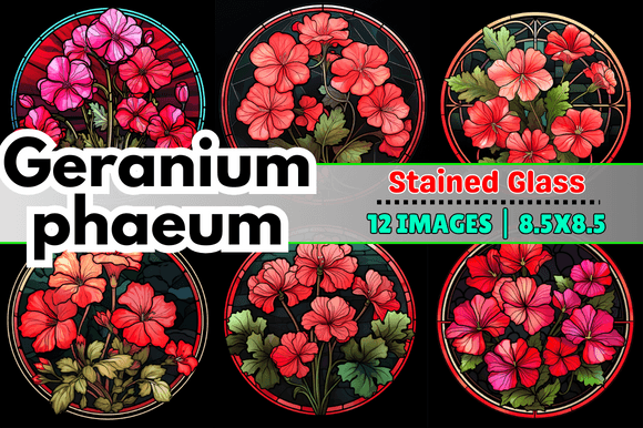 Geranium Phaeum Stained Glass